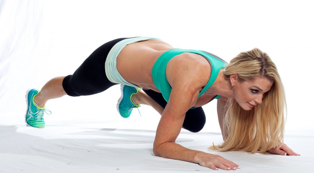 Plank-dirsek-diz