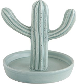 kaktüs_yüzük_tutucu